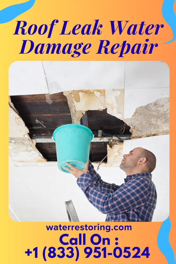 Roof Leak Water Damage Repair in Camas, WA